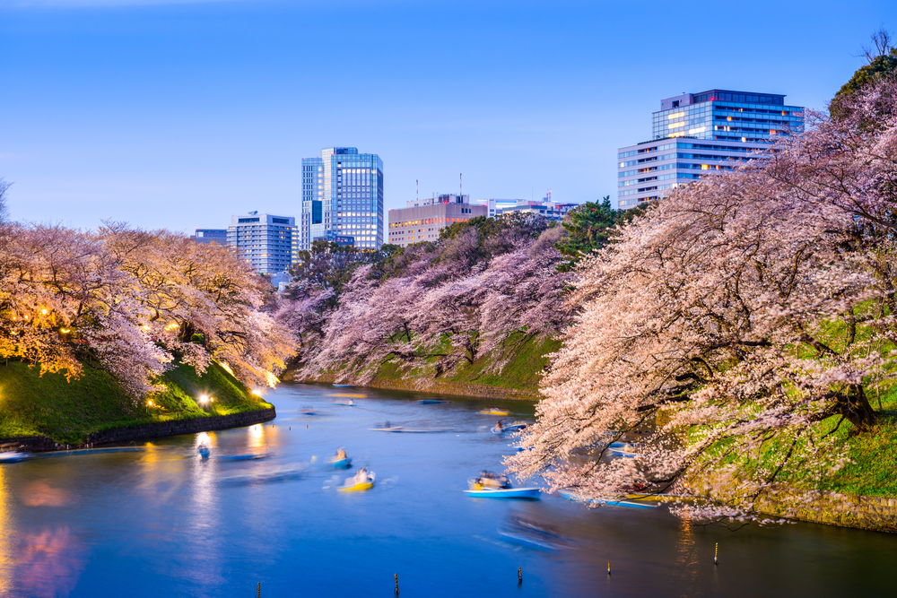 48 Hours in Tokyo - A neon city of old, new, culture and entertainment ...